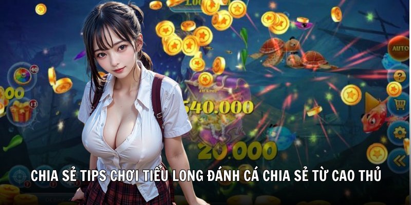 Chia sẻ tips chơi tiểu long đánh cá chia sẻ từ cao thủ