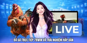 đá gà trực tiếp 78win soccer